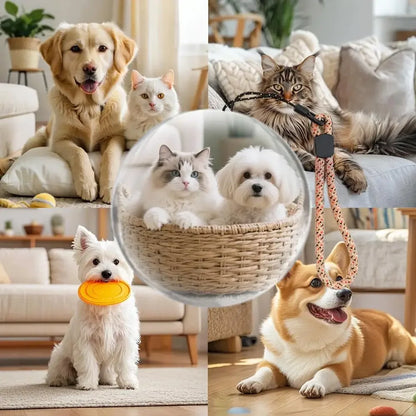 Memory Sphere™: Enchanting 3D Visual Experience