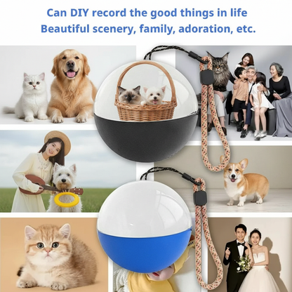 Memory Art Glass Electric  Ball