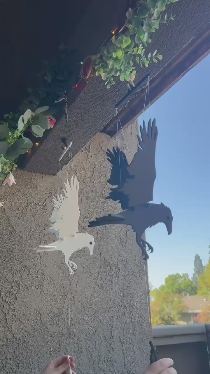 Raven Duo – Black & White Flying Ravens Set